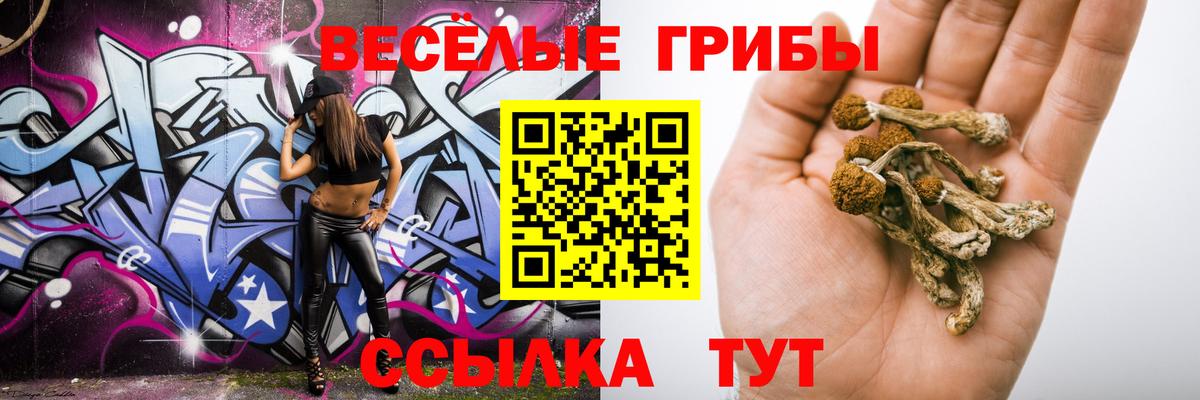 Галлюциногенные грибы Cubensis  Вход с VPN  Котельники 